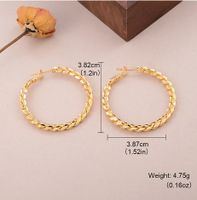 1 Pair Elegant Sweet Artistic Round Braid Copper 18K Gold Plated Palladium White K Earrings main image 2