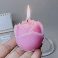 Pastoral Rose Soy Wax Candle sku image 13