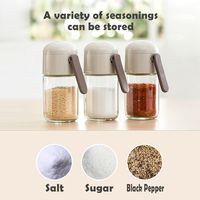 Simple Style Solid Color 304 Stainless Steel PP Glass Seasoning Bottle 1 Piece main image 4