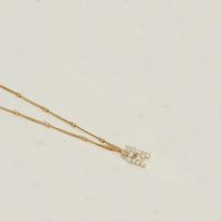 Acier Inoxydable 304 Plaqué Or 14K Style Simple Incruster Lettre Perle Pendentif sku image 18