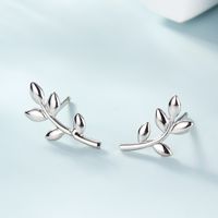 1 Pair Basic Modern Style Classic Style Leaf Inlay Sterling Silver Zircon White Gold Plated Ear Studs main image 4