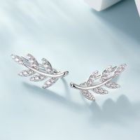 1 Pair Basic Modern Style Classic Style Leaf Inlay Sterling Silver Zircon White Gold Plated Ear Studs main image 6