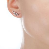 1 Pair Basic Modern Style Classic Style Leaf Inlay Sterling Silver Zircon White Gold Plated Ear Studs main image 9