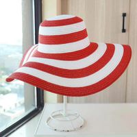Women's Casual Simple Style Color Block Big Eaves Straw Hat sku image 7
