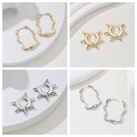 1 Pair Basic Classic Style Commute Irregular Geometric Alloy Alloy Hoop Earrings main image 1