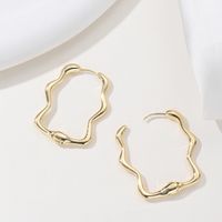 1 Pair Basic Classic Style Commute Irregular Geometric Alloy Alloy Hoop Earrings main image 5