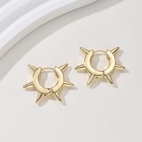 1 Pair Basic Classic Style Commute Irregular Geometric Alloy Alloy Hoop Earrings sku image 2