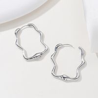 1 Pair Basic Classic Style Commute Irregular Geometric Alloy Alloy Hoop Earrings main image 4