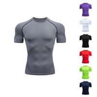 Einfacher Stil Einfarbig Polyester Milchfaser Rundhals Aktive Tops T-Shirt main image 1