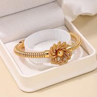 Simple Style Classic Style Solid Color Zinc Alloy Women's Bangle main image 2