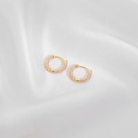 1 Pair Casual Simple Style Commute Circle Round Painted Copper Gold Plated Earrings sku image 4