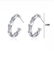 1 Paire Style Simple Forme C Incruster Le Cuivre Zircon Boucles D'Oreilles main image 2