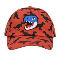Boy'S Hip-Hop Rock Dinosaur Embroidery Curved Eaves Baseball Cap main image 7