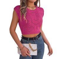 Women's Knitwear Sleeveless Tank Tops Hollow Out Streetwear Solid Color main image 5