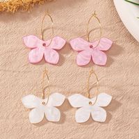 1 Pair Simple Style Classic Style Color Block Resin Copper Alloy Drop Earrings main image 3