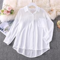 Femmes Chemisière Manche Longue Blouses Transparent Style Simple Couleur Unie main image 3