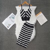 Daily Women's Casual Stripe Polyester Stripe Skirt Sets Skirt Sets main image 3