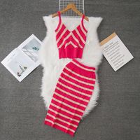 Daily Women's Casual Stripe Polyester Stripe Skirt Sets Skirt Sets main image 4