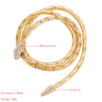 Wholesale Jewelry Hip-Hop Exaggerated Novelty Snake Alloy Rhinestones Inlay Necklace main image 3