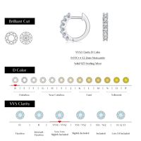 Sterling Silver Silver Plated Simple Style Shiny Inlay Round Moissanite Earrings main image 5