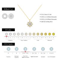 Sterling Silver 14K Gold Plated Elegant Simple Style Plating Inlay Snowflake Moissanite Pendant Necklace main image 5