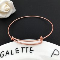 Simple Style Classic Style Commute Round Solid Color Iron Plating Women's Bangle sku image 5