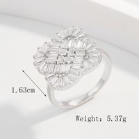 Sterling Silber Weißgold Plattiert Glam Glänzend Überzug Inlay Einfarbig Zirkon Offener Ring main image 3