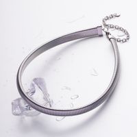 304 Stainless Steel Simple Style Classic Style Chain Solid Color Necklace main image 2