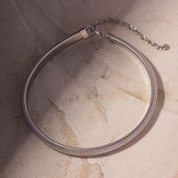 304 Stainless Steel Simple Style Classic Style Chain Solid Color Necklace main image 4