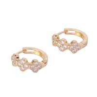 1 Pair Elegant Flower Inlay Copper Artificial Diamond Hoop Earrings main image 6