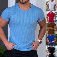 Hombres Color Sólido Estilo Simple Cuello Redondo Manga Corta Ajuste Regular Camiseta Hombre main image 1