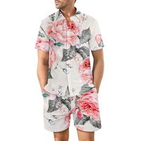 Men's Tropical Vacation Turndown Short Sleeve Regular Fit Men's Sets main image 3