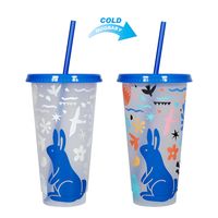 Halloween Casual Vacation Solid Color Plastic Water Bottles sku image 44