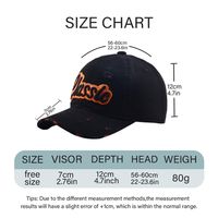 Unisex Embroidery Vintage Style Simple Style Letter Curved Eaves Baseball Cap main image 2