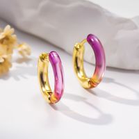 1 Pair Simple Style Classic Style Geometric Arylic Copper Hoop Earrings main image 3