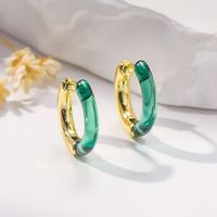 1 Pair Simple Style Classic Style Geometric Arylic Copper Hoop Earrings main image 8