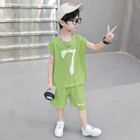 Casual Classic Style Sports Solid Color Elastic Waist Cotton Blend Boys Clothing Sets sku image 15