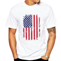 Hombres Bandera Estadounidense Estilo Simple Cuello Redondo Manga Corta Suelto Camiseta Hombre main image 1