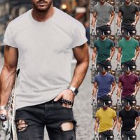 Hommes Couleur Unie Style Simple Col Rond Manche Courte Coupe Régulière T-shirt Homme main image 1