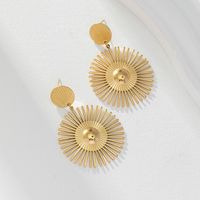 1 Pair Basic Simple Style Classic Style Leaf Dragonfly Plating 316 Stainless Steel  18K Gold Plated Hoop Earrings sku image 5