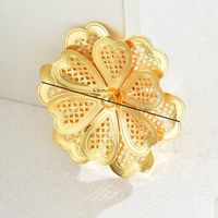 Simple Style Classic Style Flower Alloy Plating Women's Brooches 1 Piece main image 6