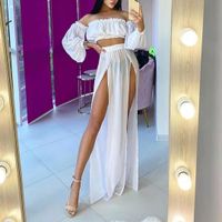 Daily Date Women's Sexy Solid Color Polyester Chiffon Backless Skirt Sets Skirt Sets main image 1