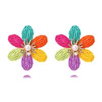 1 Paire Décontractée Fleur Raphia Strass Boucles D'Oreilles main image 7