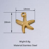 A Pack Of 3 18*14mm 304 Stainless Steel Starfish Polished Pendant main image 2