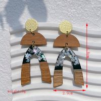 1 Pair Streetwear Geometric Hollow Out Alloy Wood Resin Drop Earrings sku image 12