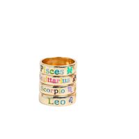 Wholesale Jewelry Simple Style Constellation Alloy Enamel Rings main image 2