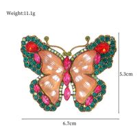 Élégant Animal Papillon Grenouille Alliage Strass Unisexe Broches main image 10