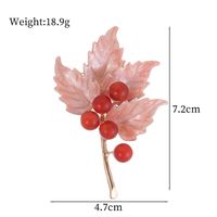 Simple Style Classic Style Leaves Flower Dragonfly Alloy Inlay Rhinestones Unisex Brooches main image 7