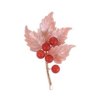 Simple Style Classic Style Leaves Flower Dragonfly Alloy Inlay Rhinestones Unisex Brooches sku image 10