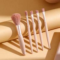 Décontractée Élégant Style Moderne Multicolore Plastique Verre Poignée En Plastique Pinceaux À Maquillage Sets D'outils De Maquillage Ensemble De 5 Pièces main image 8